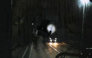 De la forêt nos rêves naissants